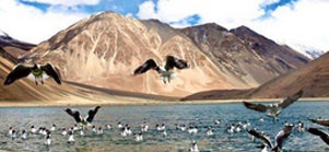 Ladakh Tour Package From Apple Journeys