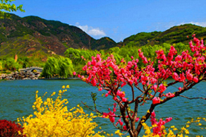 UNFORGETTABLE KASHMIR | Holiday Package From Apple Journeys